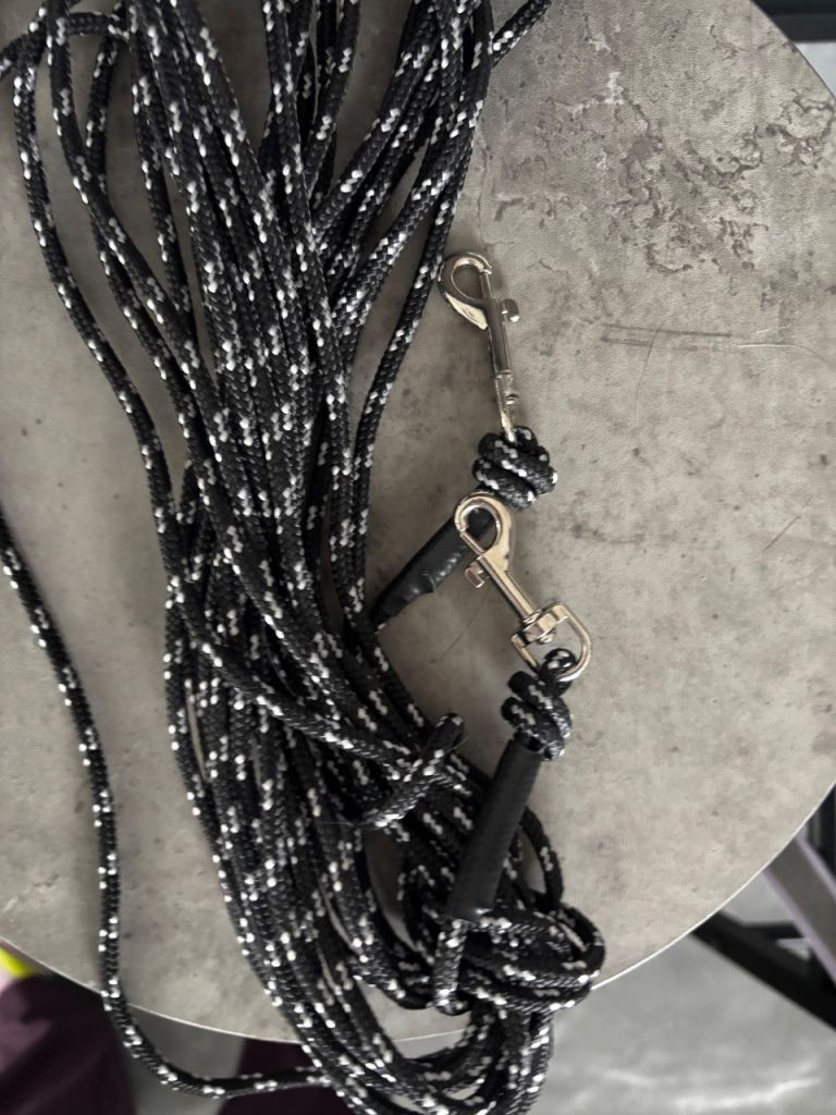 Extra Long Pet Leash 4.5m *Free*