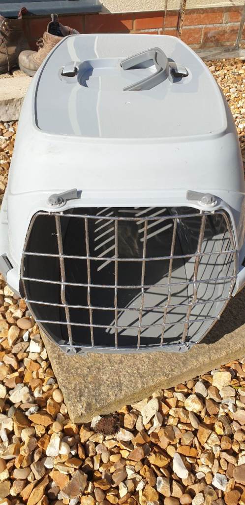 Pet Carrier - Medium
