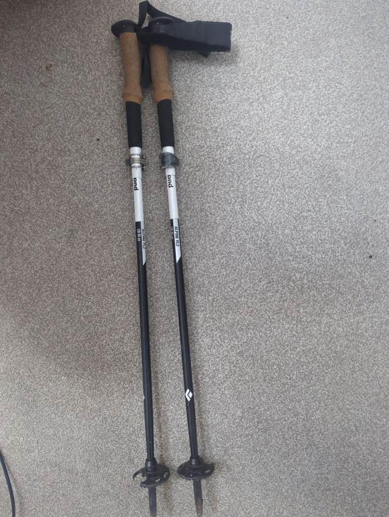 Black Diamond Alpine FLZ 110CM Poles