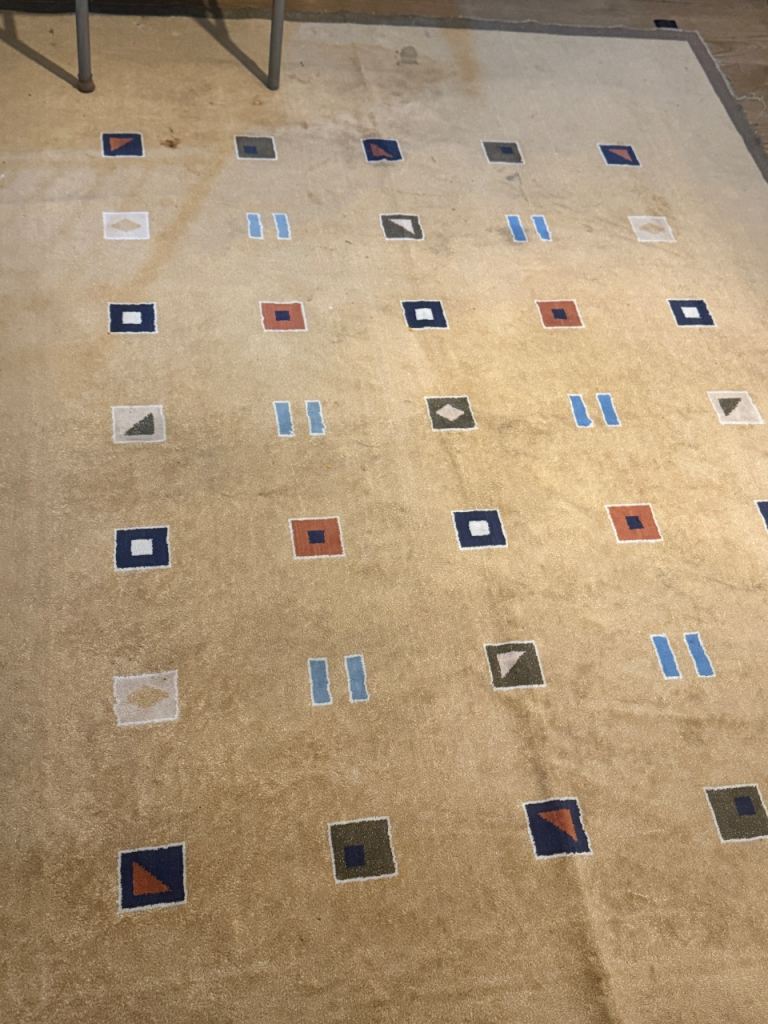 Light brown rug, machine washable. Used and in good condition, just needs a clean.