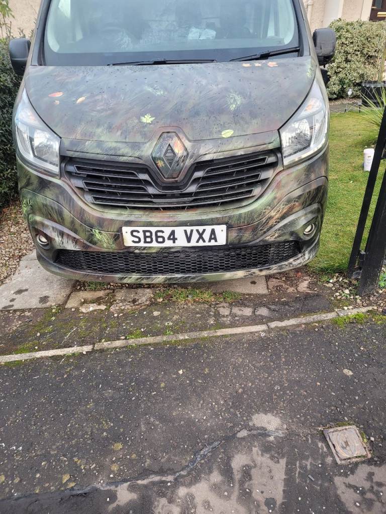 Renault, TRAFIC, Panel Van, 2014, Manual, 1598 (cc)