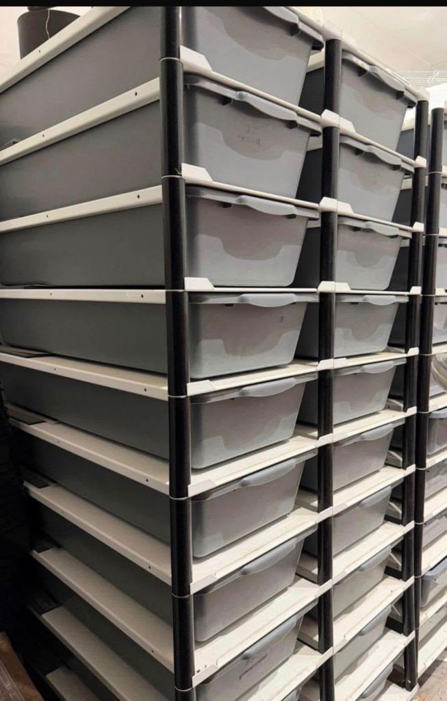 LP 20 x FB40 Reptiles rack 