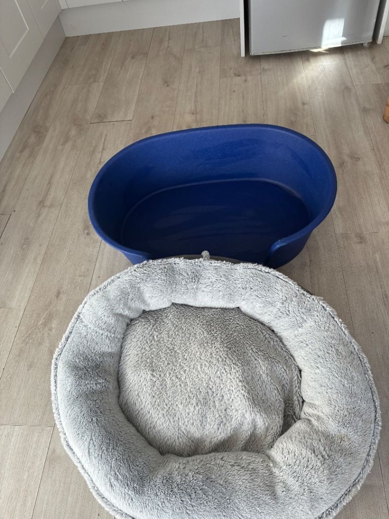Plastic Dog Bed and Furry Liner