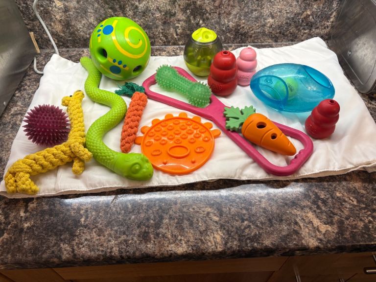 Dog Toy and Enrichment Bundle - £20 - Swindon