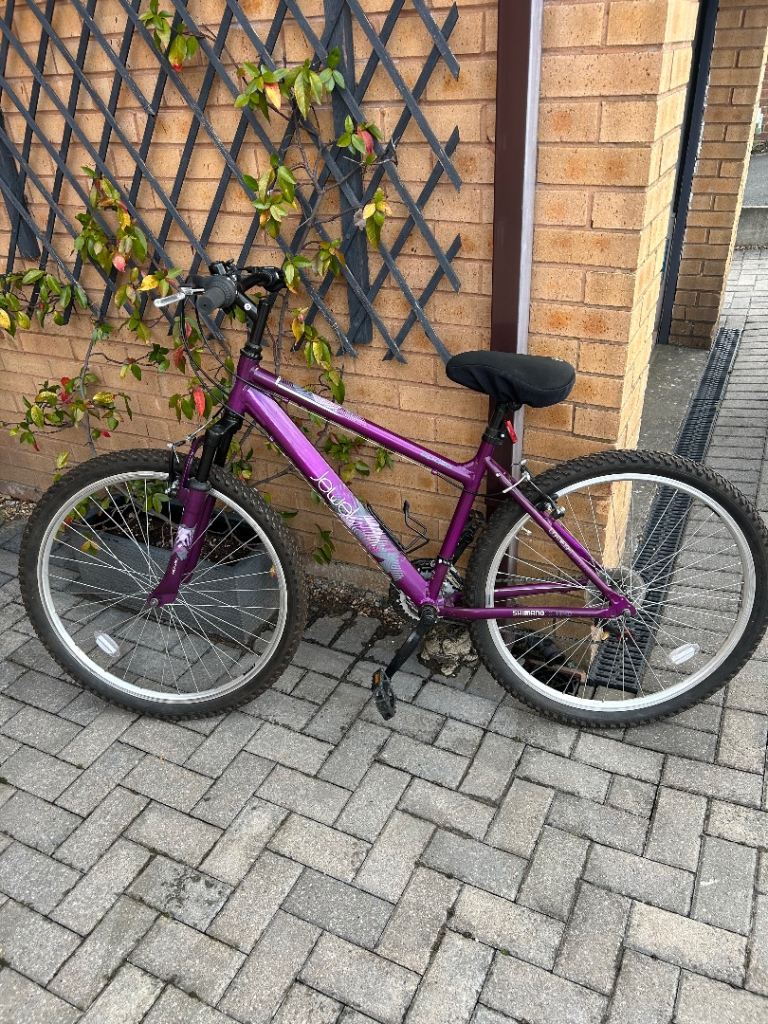 Ladies bike as good as new 