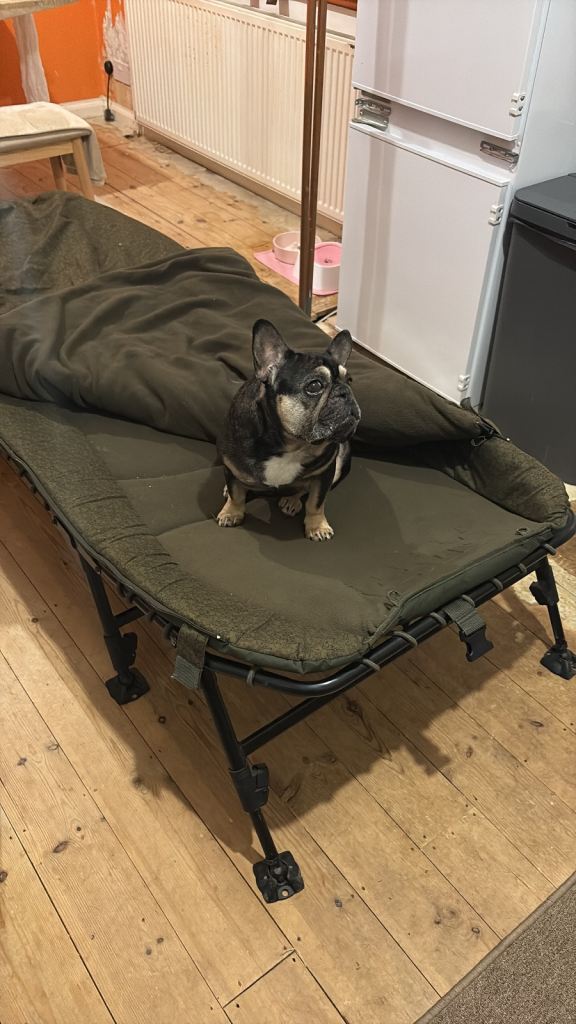 Nash wide boy 6 leg bed