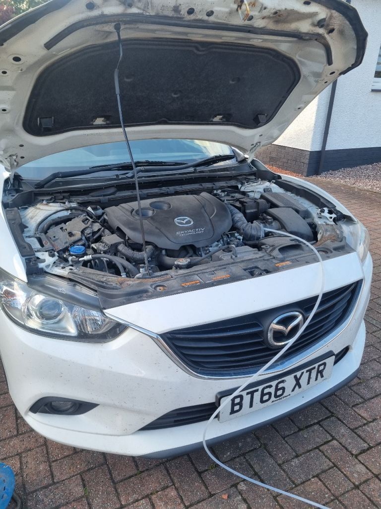 engine carbon cleaning