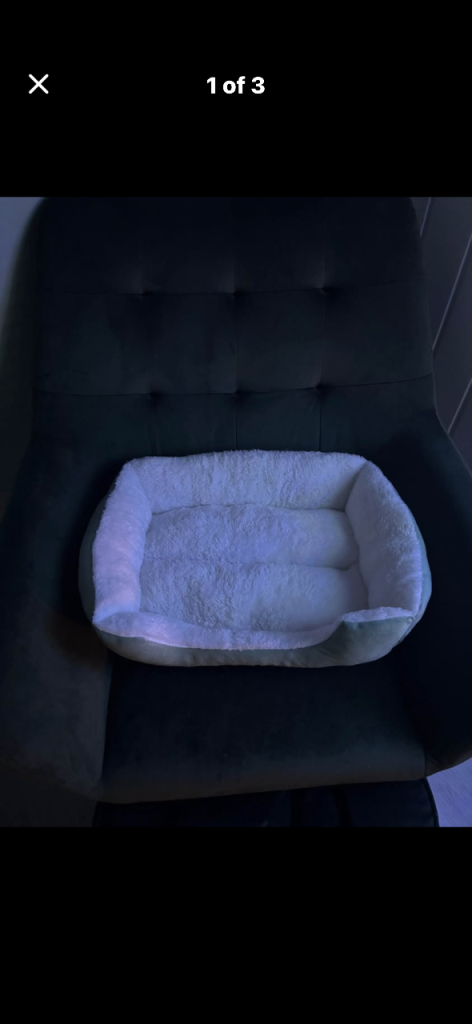 Small Dog or Cat Bed