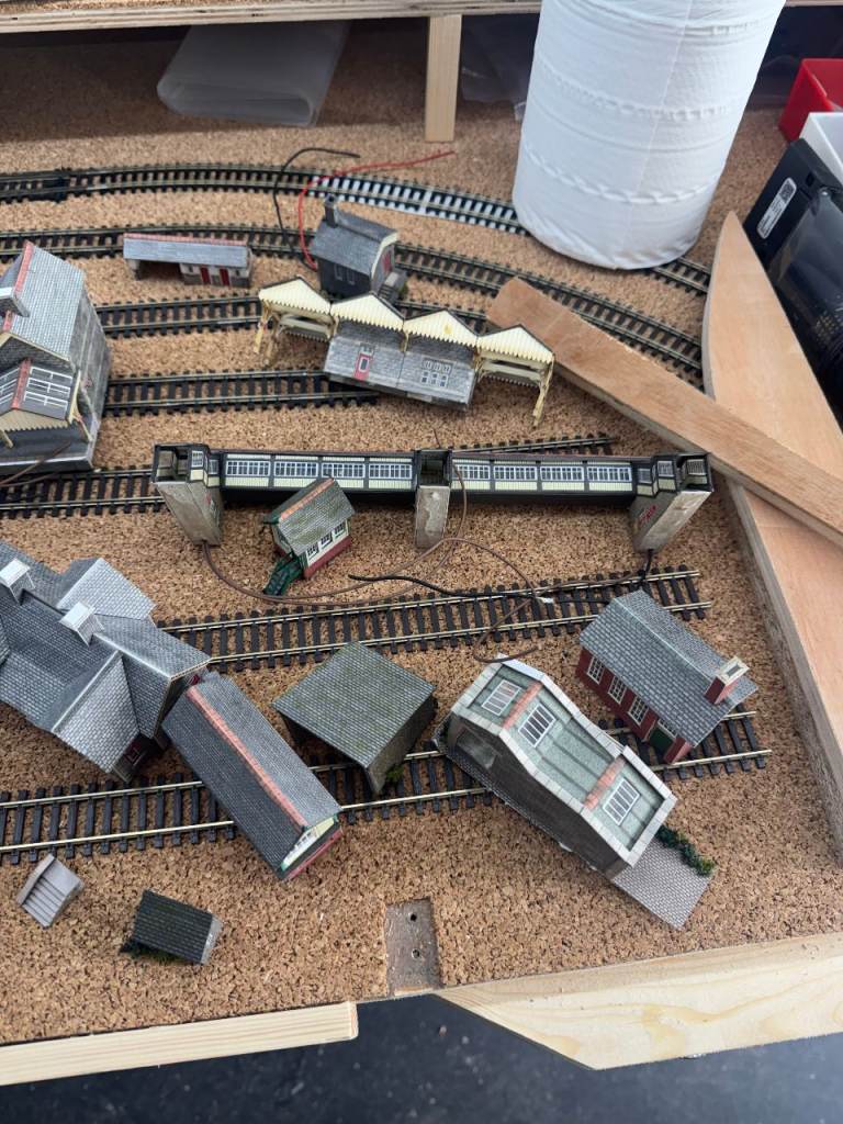 n gauge railway buildings and 9 x flexi track new