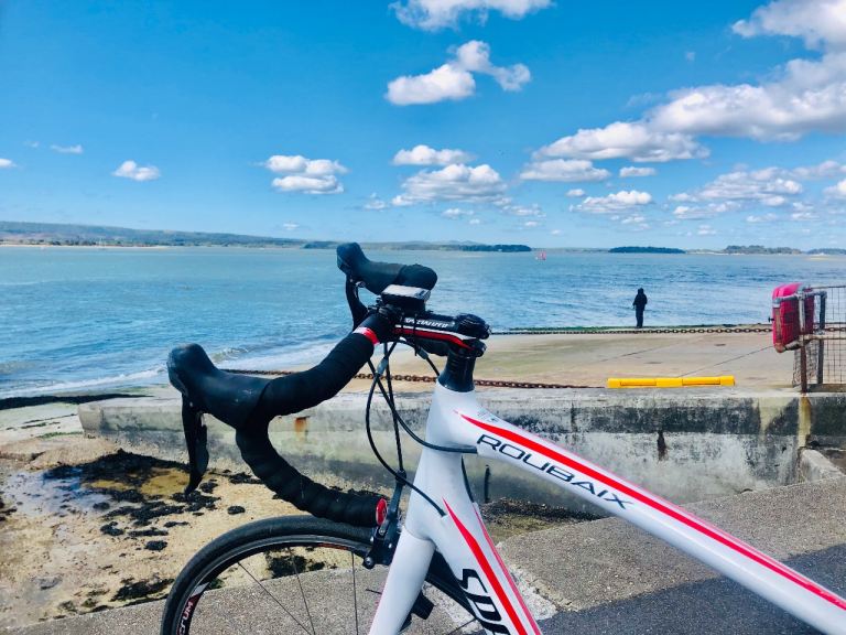 image for For Sale Specialized Roubaix Elite Road Bike