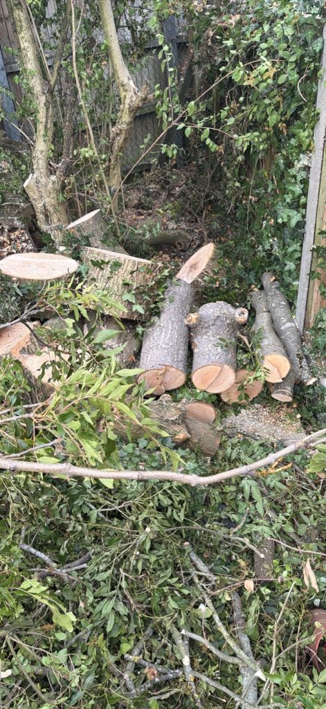 Free Firewood Logs and Garden Cuttings – Ready to Collect