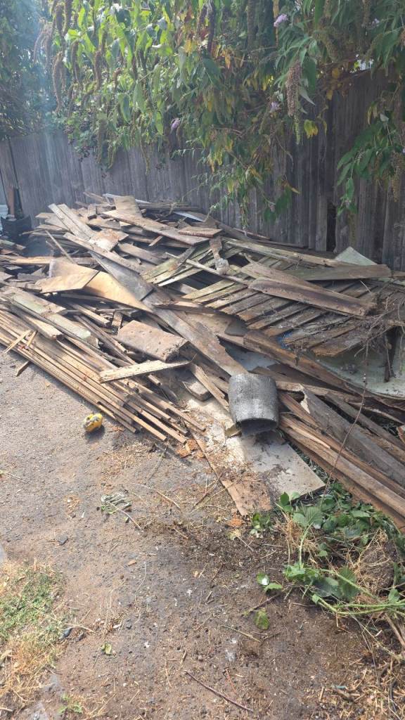 Assorted wood FREE
