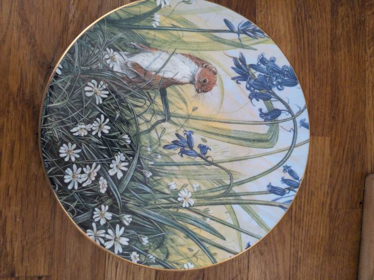Compton & Woodhouse "Weasel and Bluebells" Collector Plate