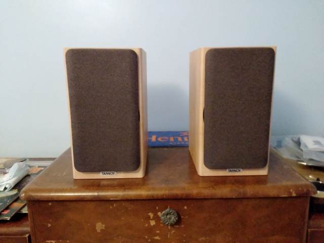 Tannoy Mercury F1 Custom Speakers – Good Condition | in Richmond