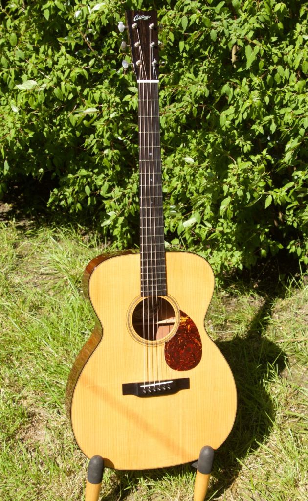 Collings OM1A