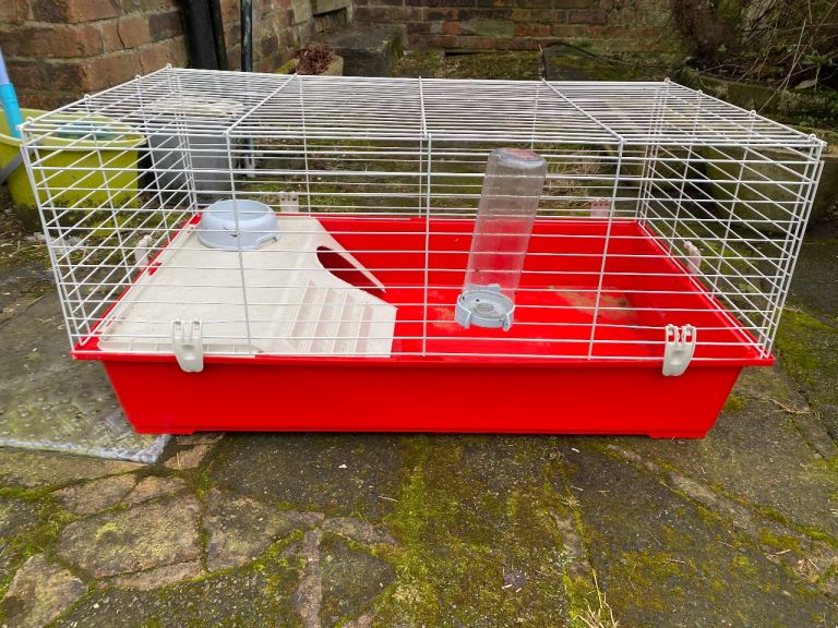 Guinea pig cage