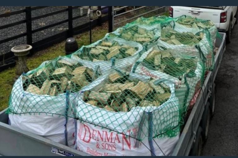 Seasoned hardwood logs fire wood ready to burn 
