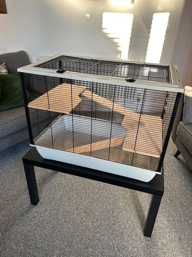 Hamster cage and accessories