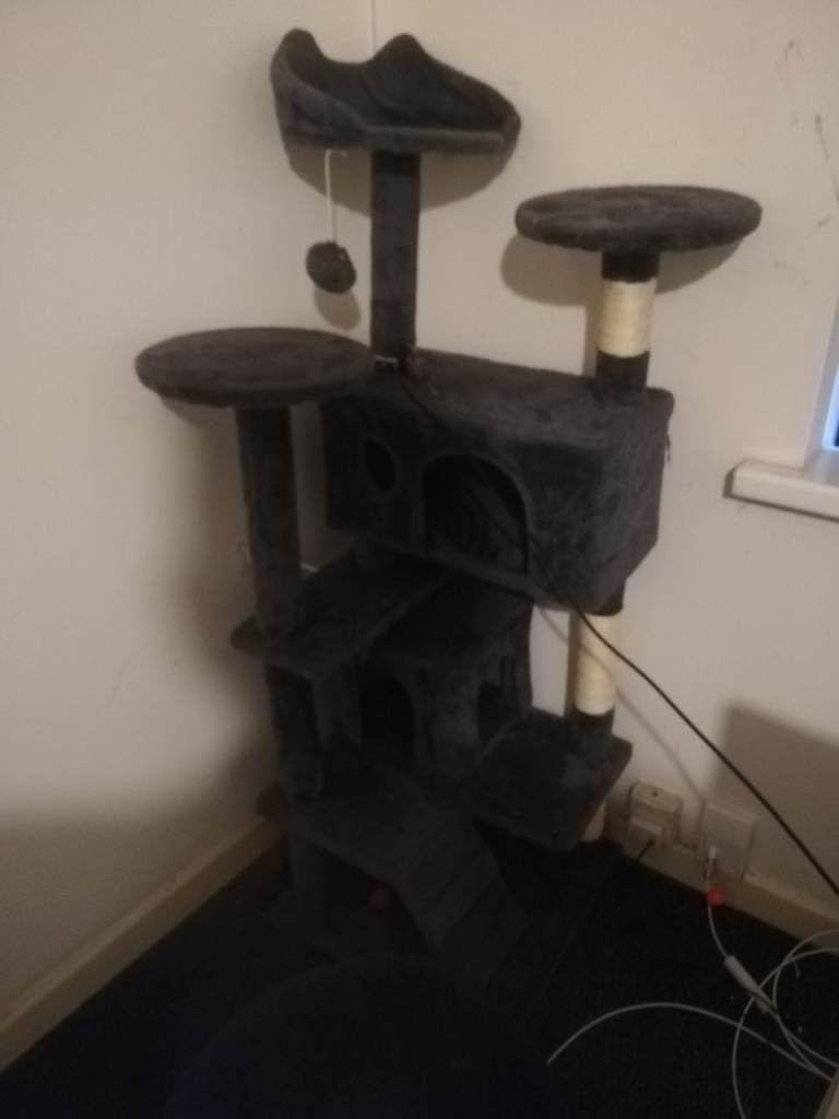 Cat climbing frame 