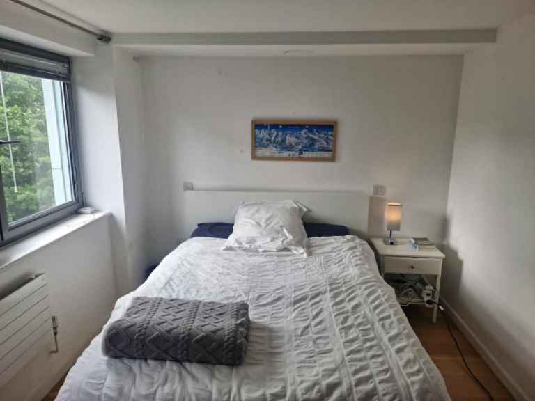 Big room in a spacious flat available for sublet