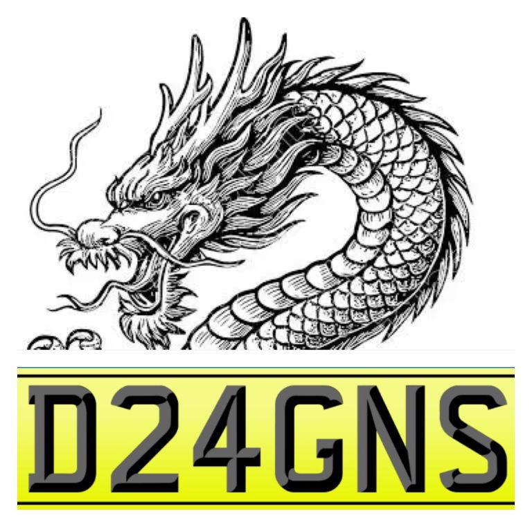 DRAGONS private cherished number plate, D24GNS, Dragon, Dragons