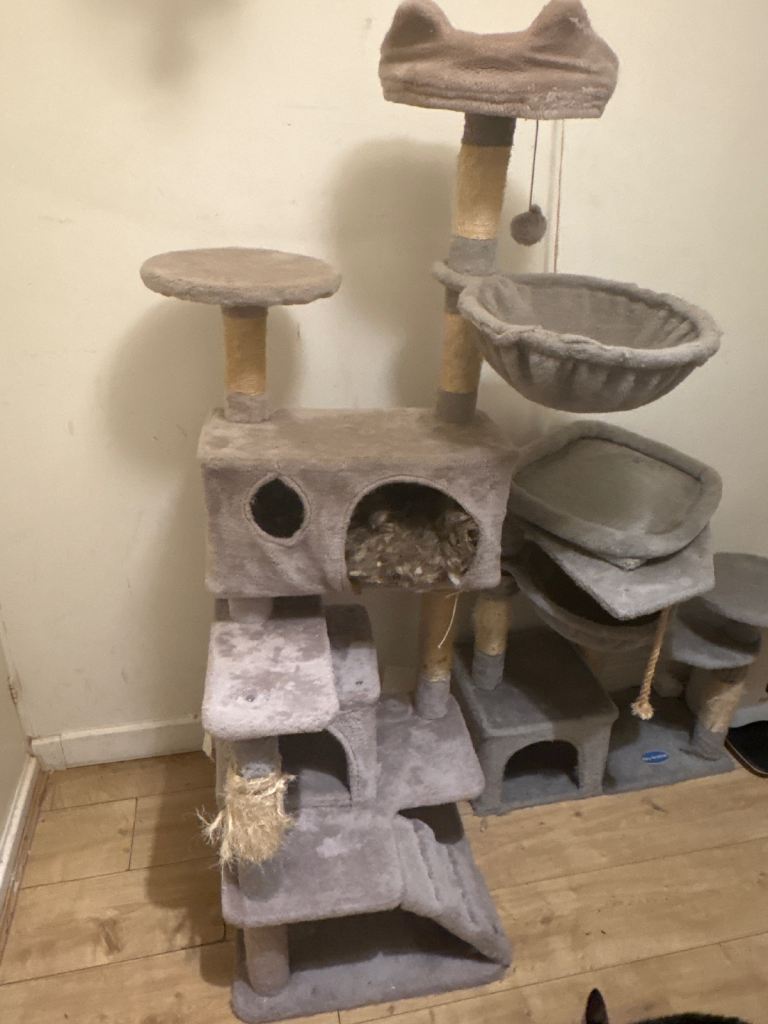 Cat trees
