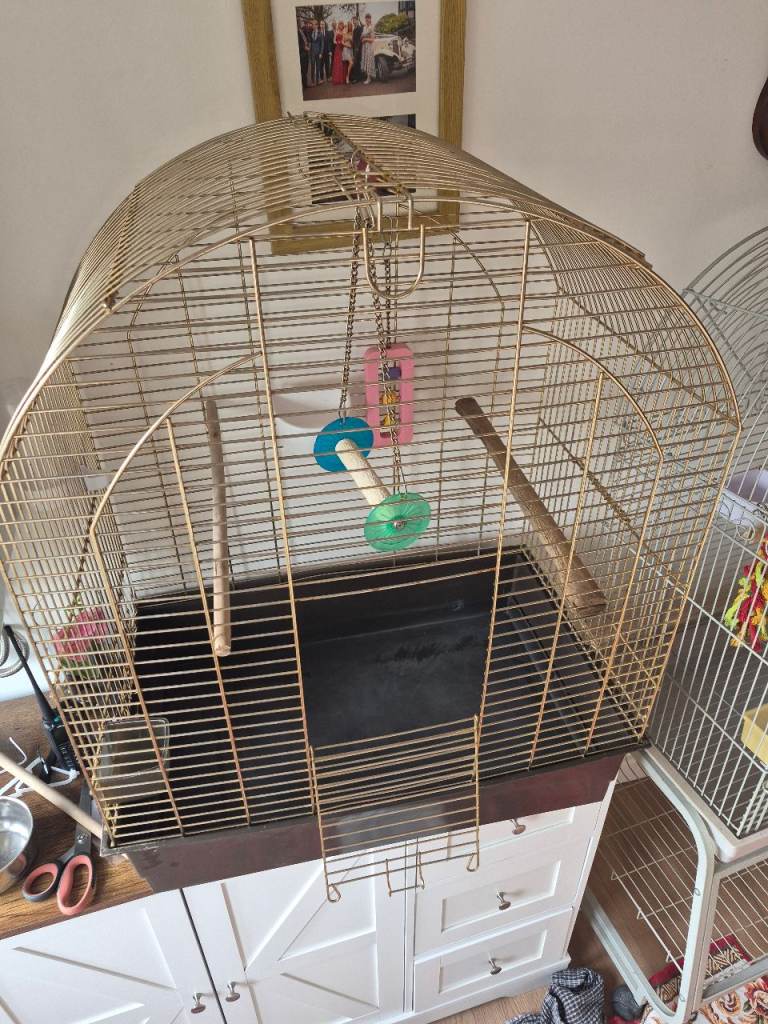 Bird cage
