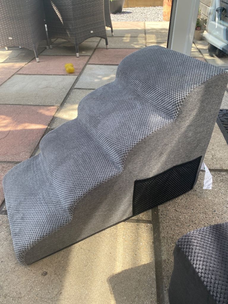 Dog ramp 