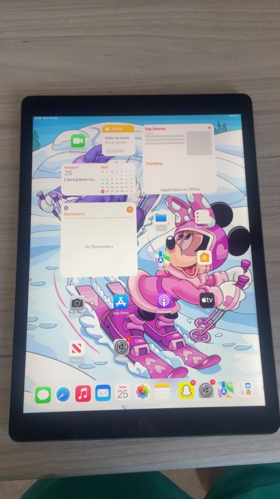 iPad Pro 