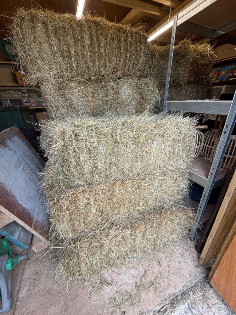 Organic Hay
