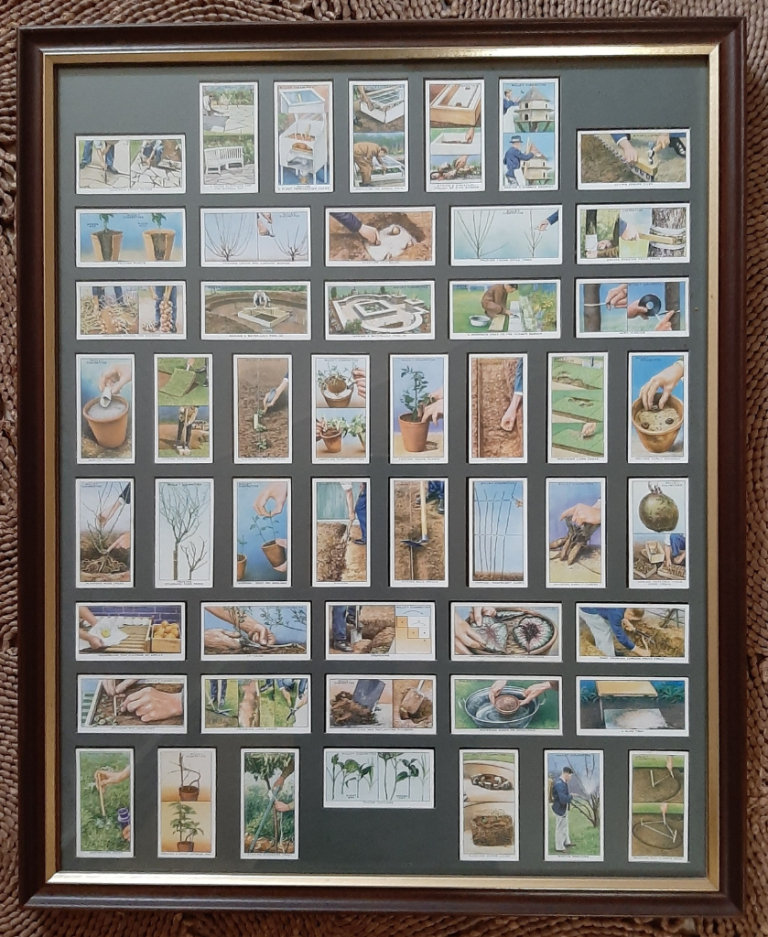 Set of 50 Framed W.D. & H.O. Wills 'Garden Hints' Cards / 1938