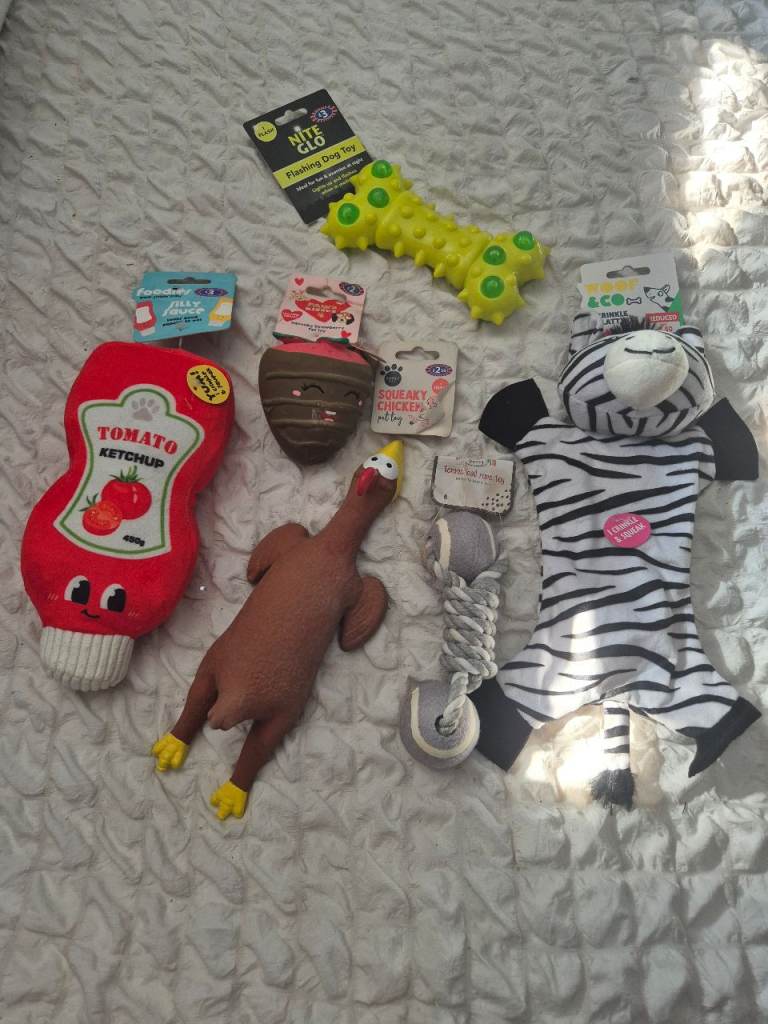 New Dog toy bundle 