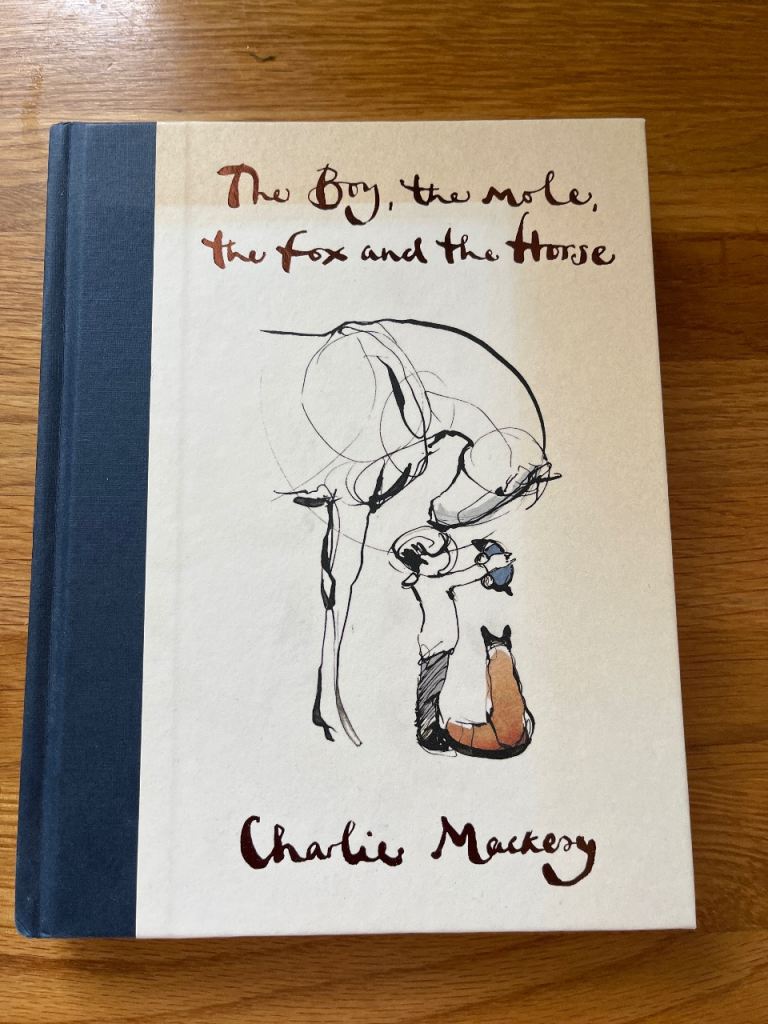 The boy, the mole, the fox and the horse children book