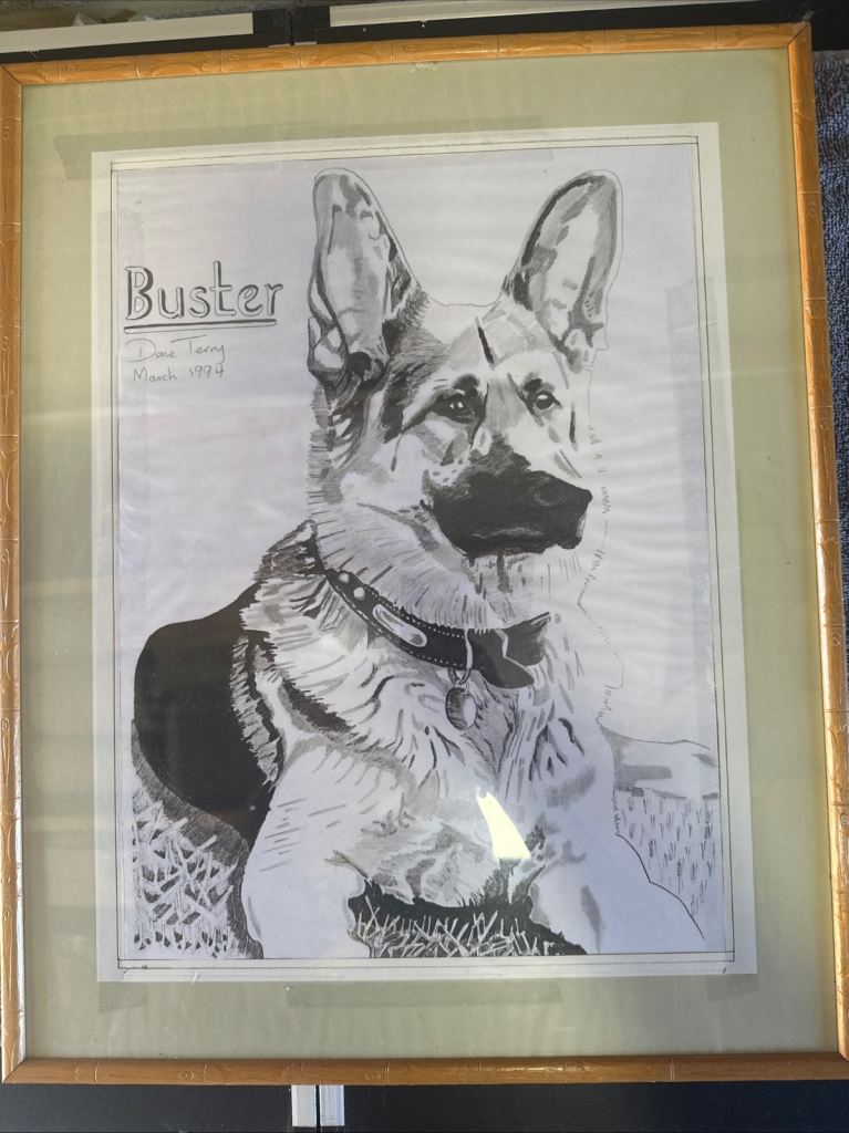 Original one off drawing of a German shepherd dog