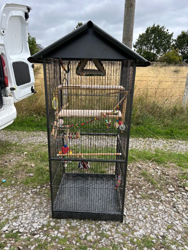 Large indoor cage for sale 