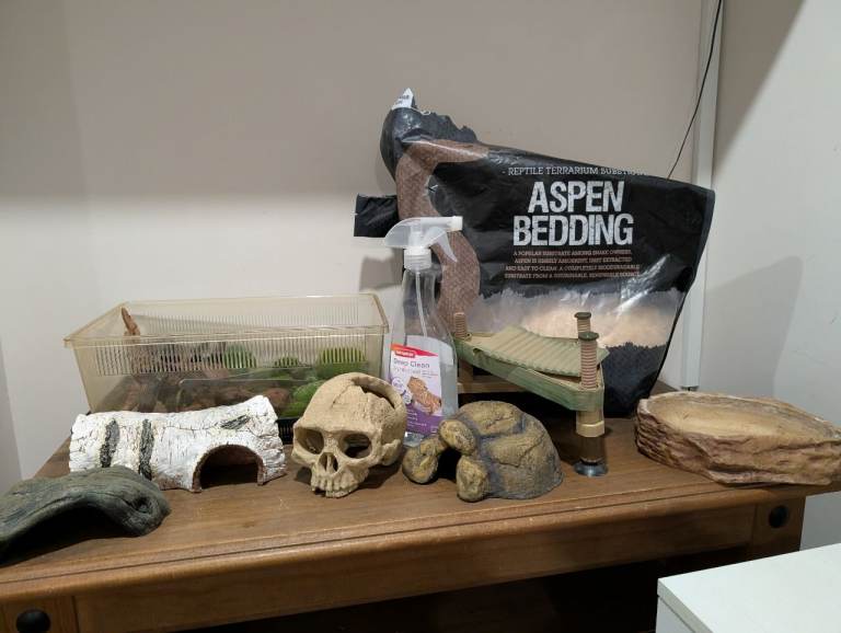 Basic vivarium set up