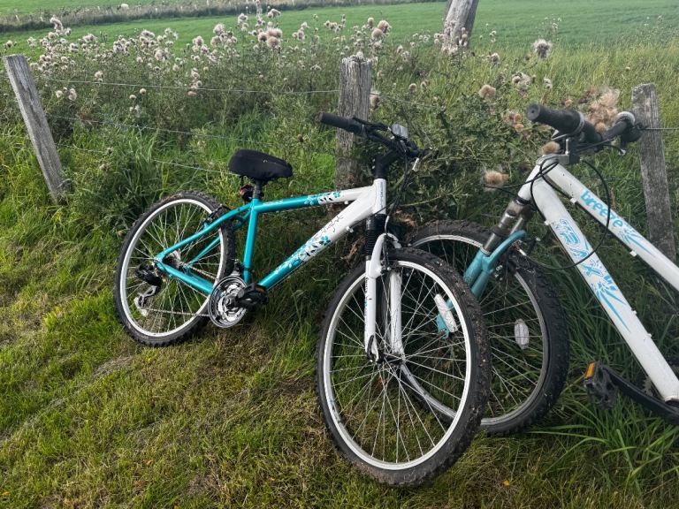 Three Bikes