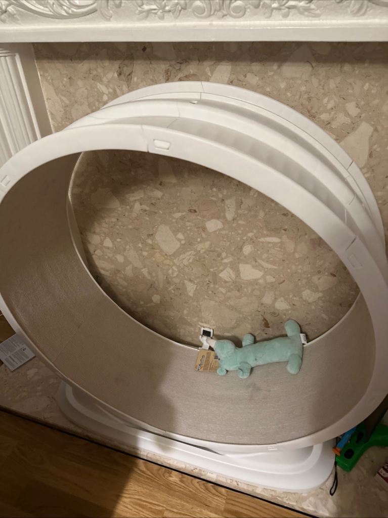 Cat Exercise Wheel Treadmill Running Wheel