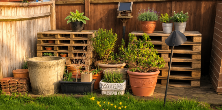 Lots of pots and planters of various sizes for sale (Please read description)