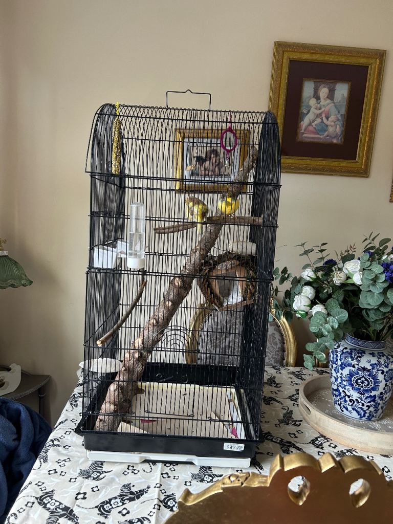 Bird cage