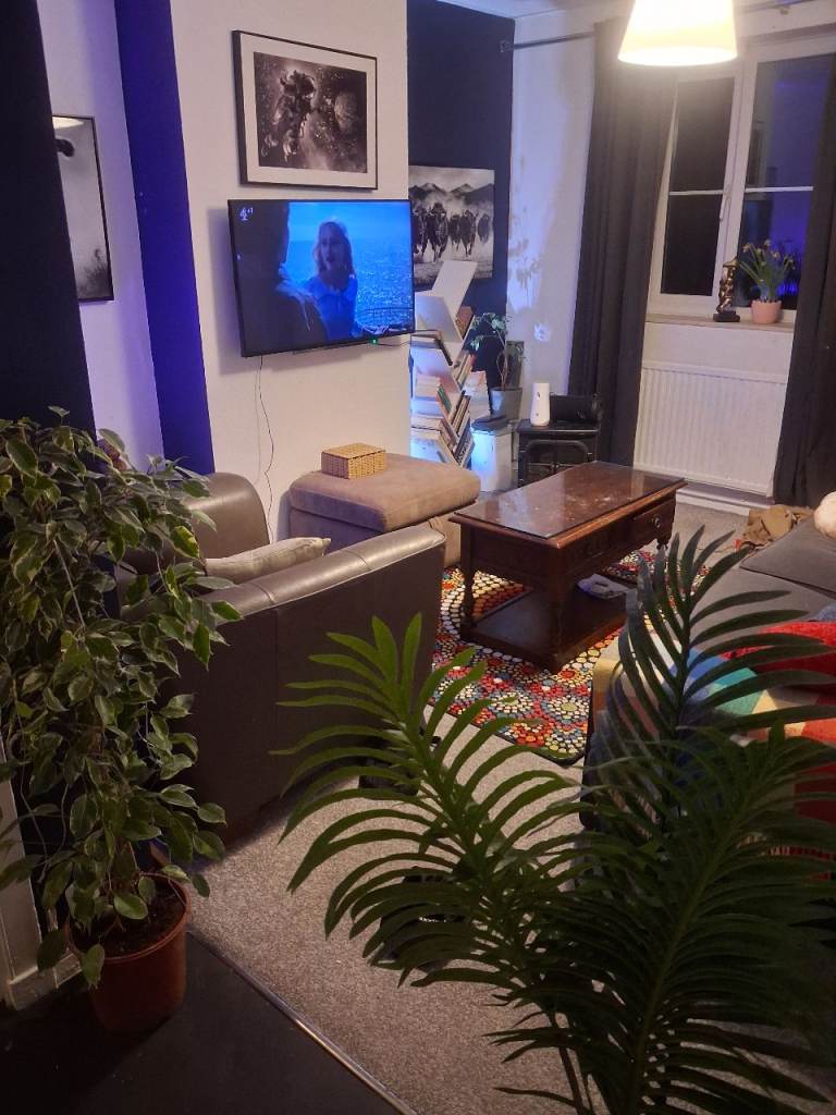 Room for rent in gay friendly 1 bedroom flat