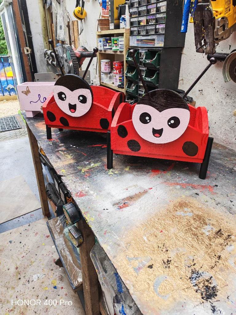 Ladybird planters 🐞🐞