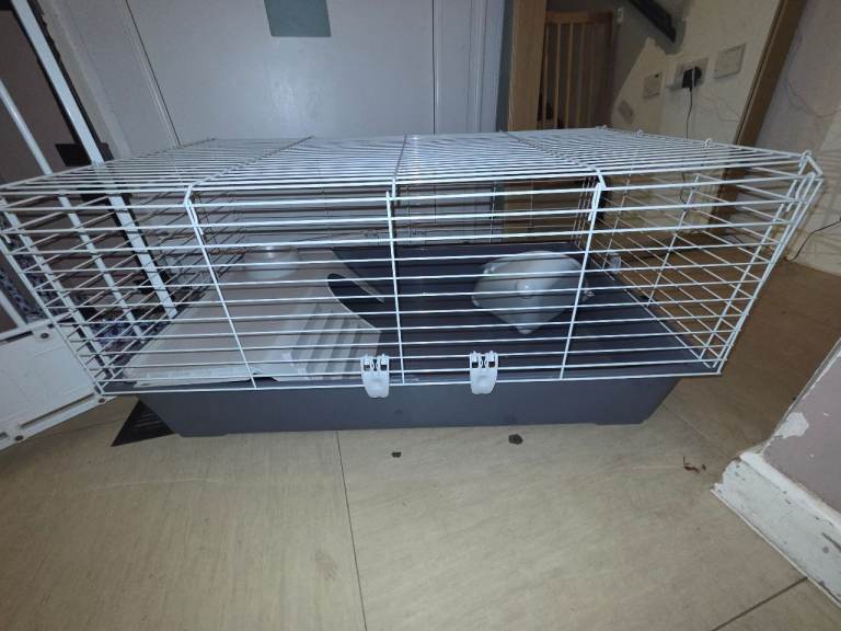 Guinea pig cage