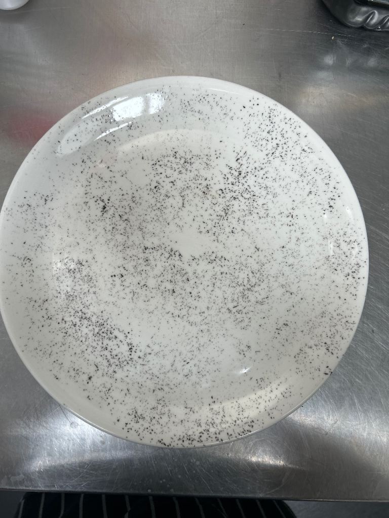 21 Large Dinner Plates 
