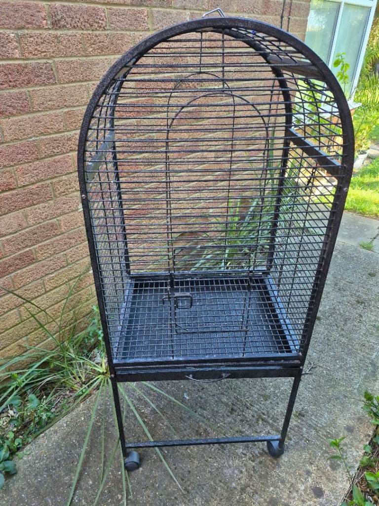 Bird cage