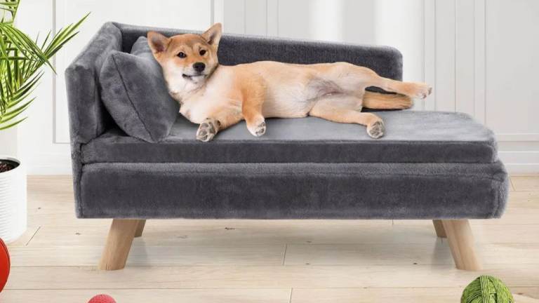 Pet sofa 