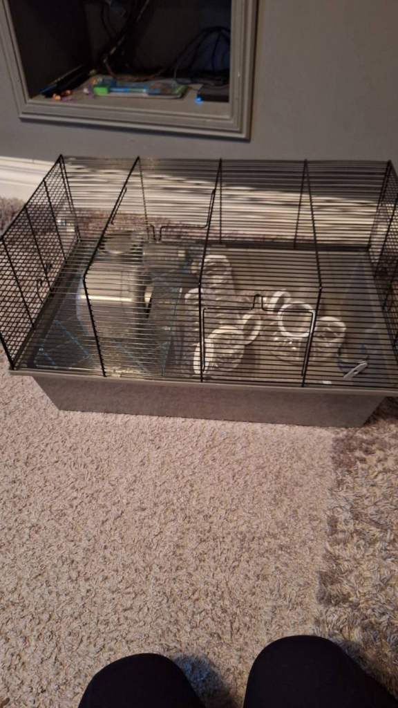 Hamster cage