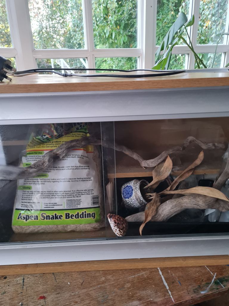 Vivarium for snake or reptile, comes with bedding etc