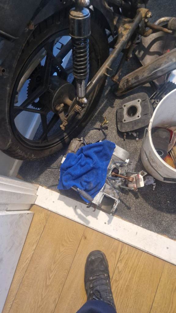 Suzuki, 1985, 98 (cc)