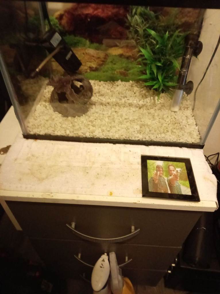 Fish tank with all asseries, 